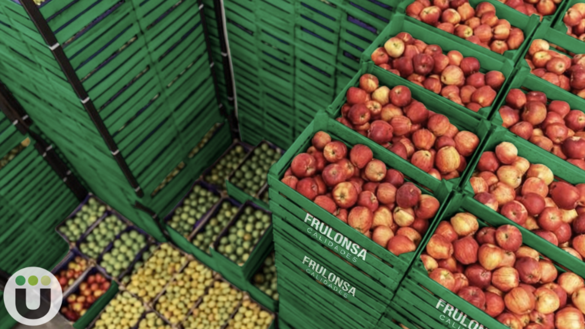 Nuestra visión del mercado de fruta.